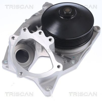 TRISCAN Vannpumpe 8600 11051 Vannpumpe TRISCAN BMW 4-serie 8600 11051