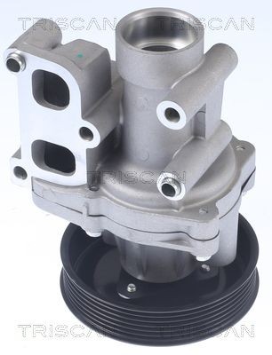 TRISCAN Vannpumpe 8600 43023 Vannpumpe TRISCAN Hyundai H100 8600 43023