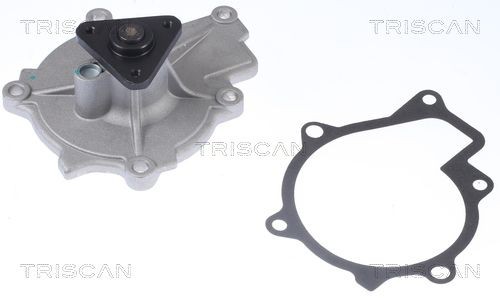 TRISCAN Pompa acqua 8600 43024 8600 43024 Pompa acqua HYUNDAI TRISCAN costo