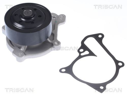 TRISCAN Ūdenssūknis 8600 50013 Ūdens sūknis TRISCAN MX-5 8600 50013 lēti