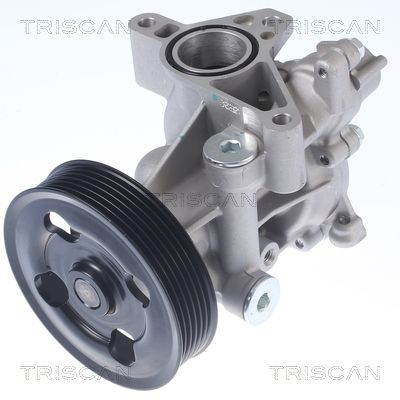 TRISCAN Pompe à eau 8600 69012 Suzuki ALTO Pompe à eau TRISCAN 8600 69012
