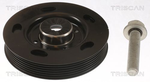 TRISCAN Remskive, veivaksel 8643 29013 TRISCAN Remskive veivaksel 8643 29013 erfaring