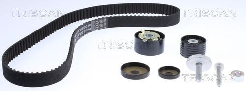 TRISCAN Distributieriem set 8647 25046 Set, distributie TRISCAN SANDERO / STEPWAY 8647 25046 goedkoop