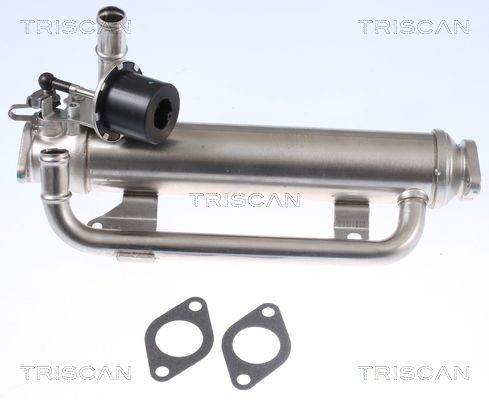 TRISCAN EGR køler 8813 29320 Agr køler TRISCAN Skoda SUPERB 8813 29320