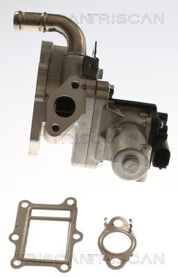 EGR-ventil TRISCAN 8813 43017 TRISCAN 8813 43017 EGR modul HYUNDAI TERRACAN 2001