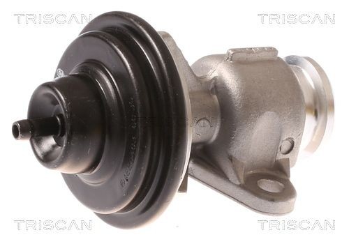 TRISCAN EGR-ventil 8813 44015 TRISCAN 8813 44015 EGR-ventil SSANGYONG Korando II SUV 2.3 143 hk 2006