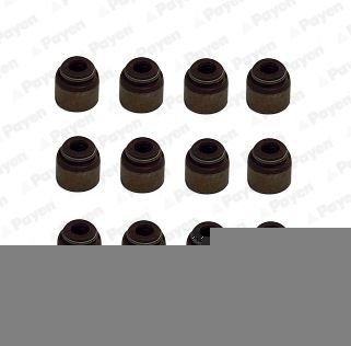 Tihendikomplekt, Klapisäär PAYEN HR5133 PAYEN HR5133 Klapisääretihend Hyundai GETZ 2007