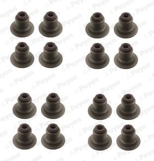 Klepsealset PAYEN HR5141 PAYEN HR5141 Klepseals CITROËN C5 2010