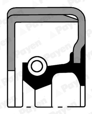 PAYEN Paraolio, mozzo ruota NJ557 PAYEN NJ557 costo Paraolio, mozzo ruota BMW F16 originale