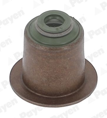 PAYEN Blīvgredzens, Vārsta kāts PA6095 PAYEN PA6095 Blīvgredzens vārsta kāts Rover 75 rj cena