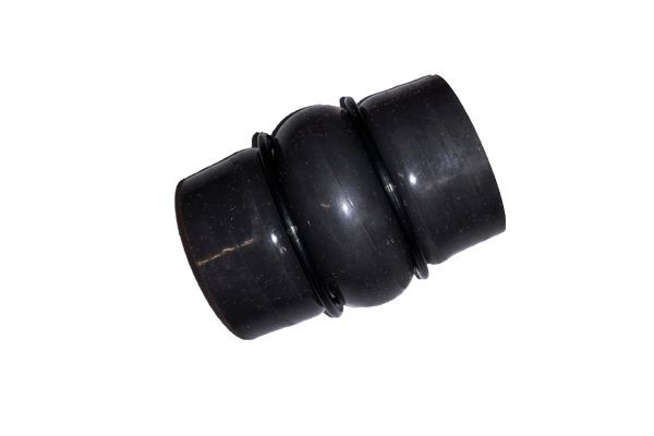 BUGIAD Kompressoriõhuvoolik 81748 Laadimisõhu voolik BUGIAD Renault ARKANA 81748