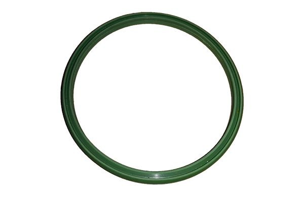BUGIAD Dichtring, laadluchtslang 81806 Jeep COMPASS Dichtring, laadluchtslang BUGIAD 81806