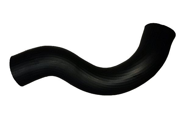 BUGIAD Kompressoriõhuvoolik 81830 BUGIAD 81830 originaal Laadimisõhu voolik Nissan Pathfinder r51 hind