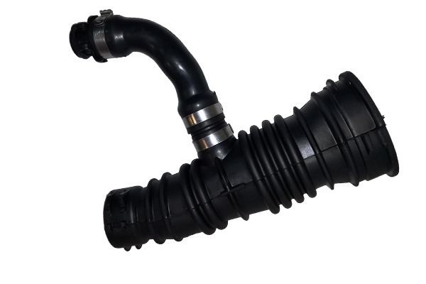 BUGIAD Indsugningsslange 81877 81877 BUGIAD Indsugningsslange, luftfilter Toyota billig