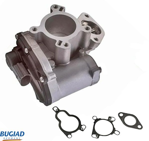 BUGIAD Válvula EGR BGR13072 BUGIAD BGR13072 Valvula de recirculacion de gases de escape Renault Megane 2 Cabrio preço
