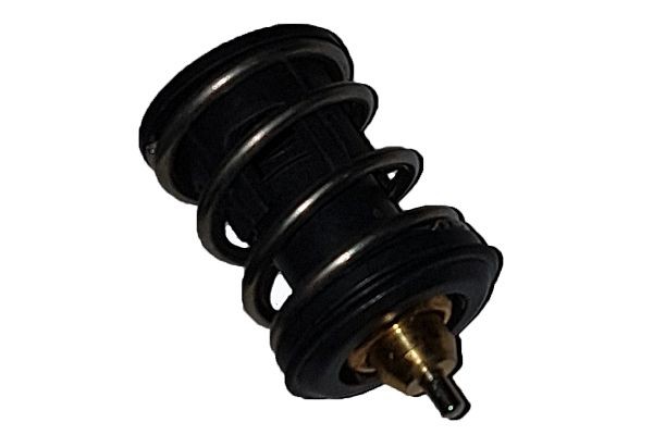 BUGIAD Termostats, Dzesēšanas šķidrums BSP25071 BSP25071 Termostats AUDI Q3 BUGIAD
