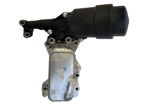 BUGIAD Radiador de óleo, óleo do motor BSP25196 BSP25196 BUGIAD Radiador de óleo Seat baratos