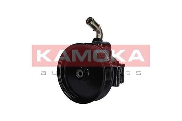 KAMOKA Stuurbekrachtigingspomp PP117 Servopomp Citroën TD_ PP117 KAMOKA
