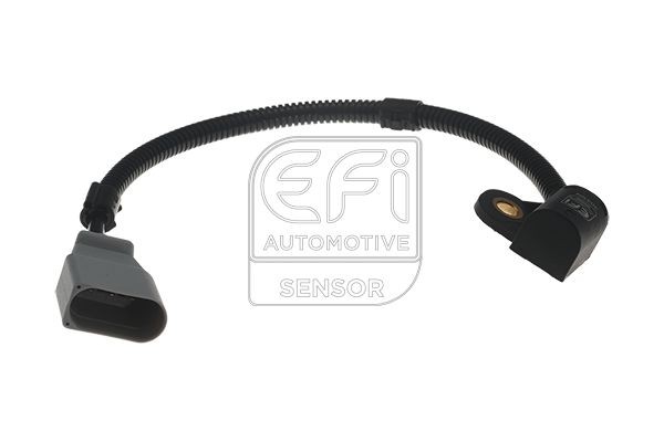 EFI AUTOMOTIVE Andur, Nukkvõllipositsioon 303304 303304 Nukkvõlli asendi andur SEAT ALHAMBRA EFI AUTOMOTIVE