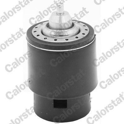 Thermostat d'eau CALORSTAT by Vernet TH7266.95 CALORSTAT by Vernet TH7266.95 Thermostat liquide de refroidissement SEAT IBIZA 2019