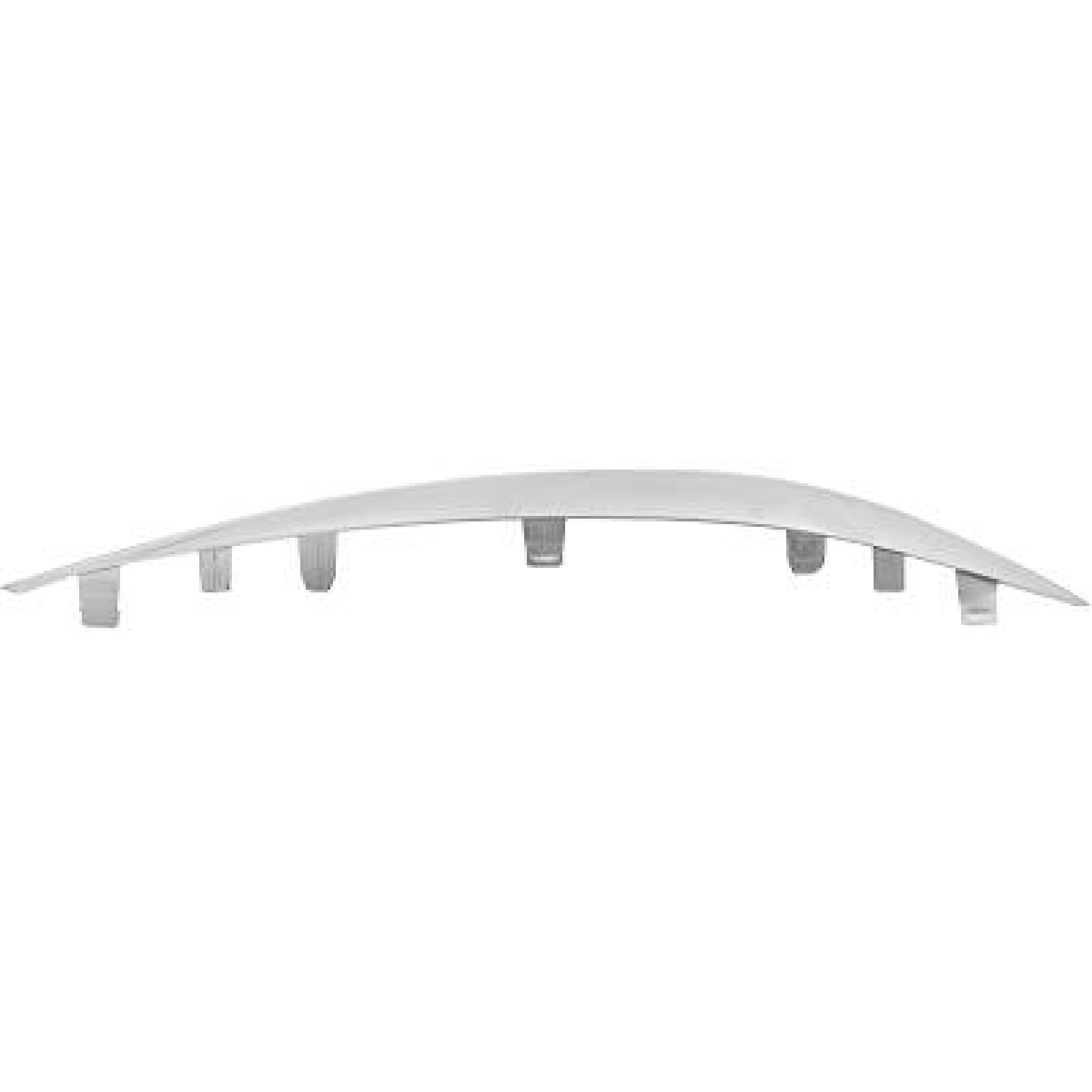 DIEDERICHS Friso de para-choques 1673063 DIEDERICHS 1673063 Friso de para-choques