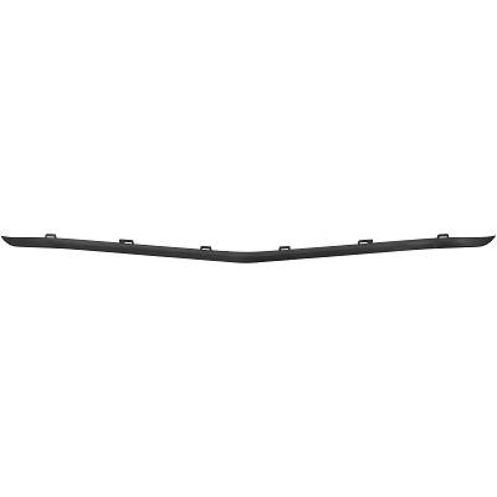 DIEDERICHS Friso de para-choques 1673068 DIEDERICHS 1673068 Friso de para-choques