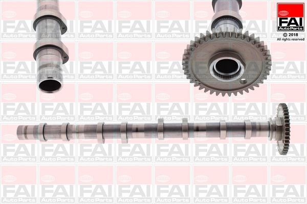 FAI AutoParts Arbre à came C393 FAI AutoParts C393 Arbre à cames FERRARI 599 GTB FIORANO d'origine