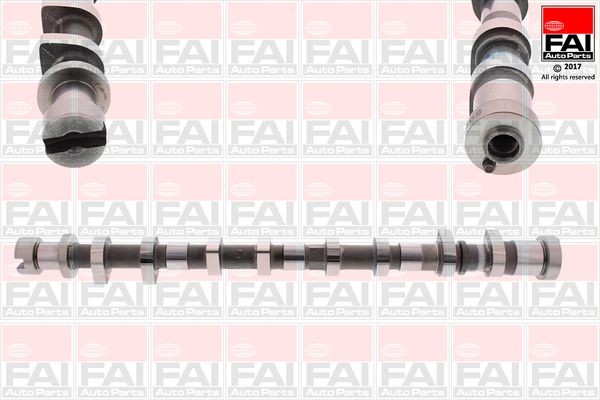 FAI AutoParts Nukkvõll C401 FAI AutoParts C401 Nukkvõllikomplekt Nissan Navara D40 originaal hind