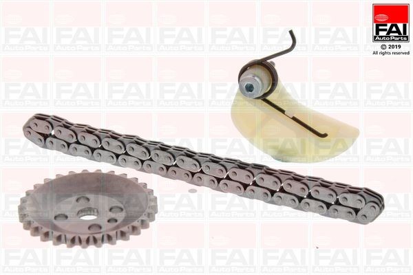 FAI AutoParts Catena, Azionamento pompa olio OPCK87-08 FAI AutoParts OPCK87-08 Catena di trasmissione Audi Allroad 4BH originale prezzo