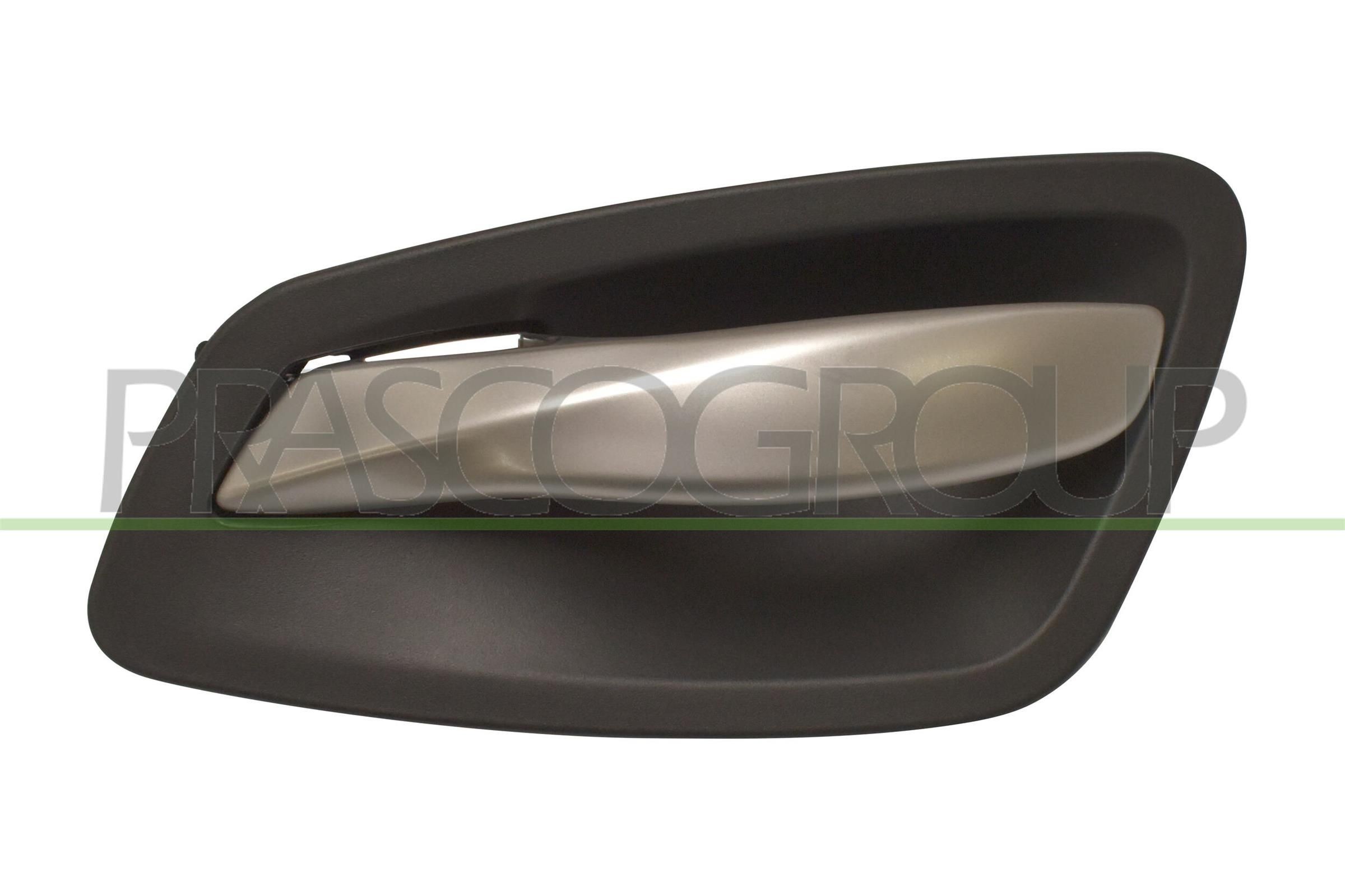 PRASCO Deurhendel BM0248401 BM0248401 Handgrepen PRASCO BMW Z3