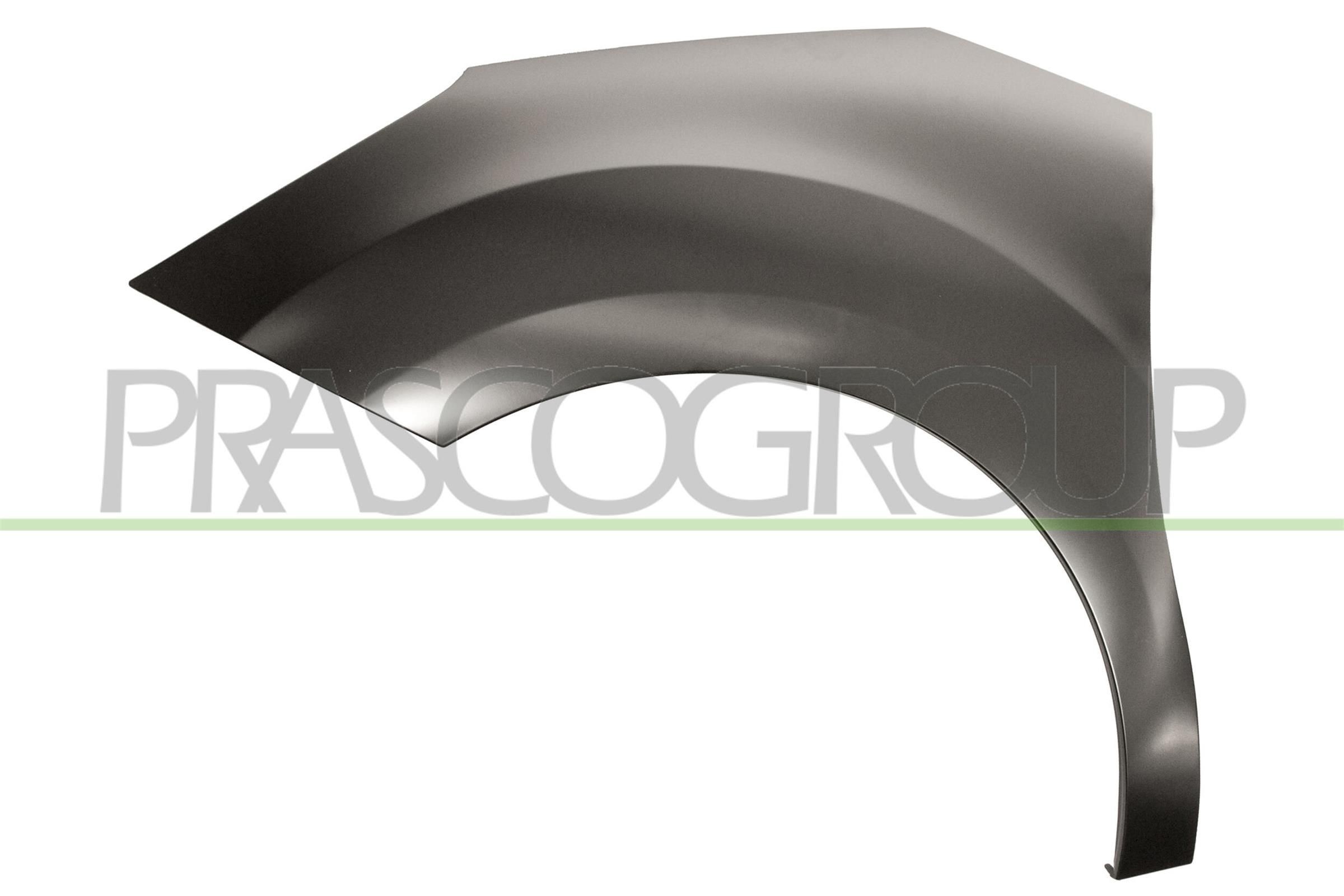 PRASCO Guarda-lamas CI3243034 Guarda-lamas CITROËN PRASCO CI3243034