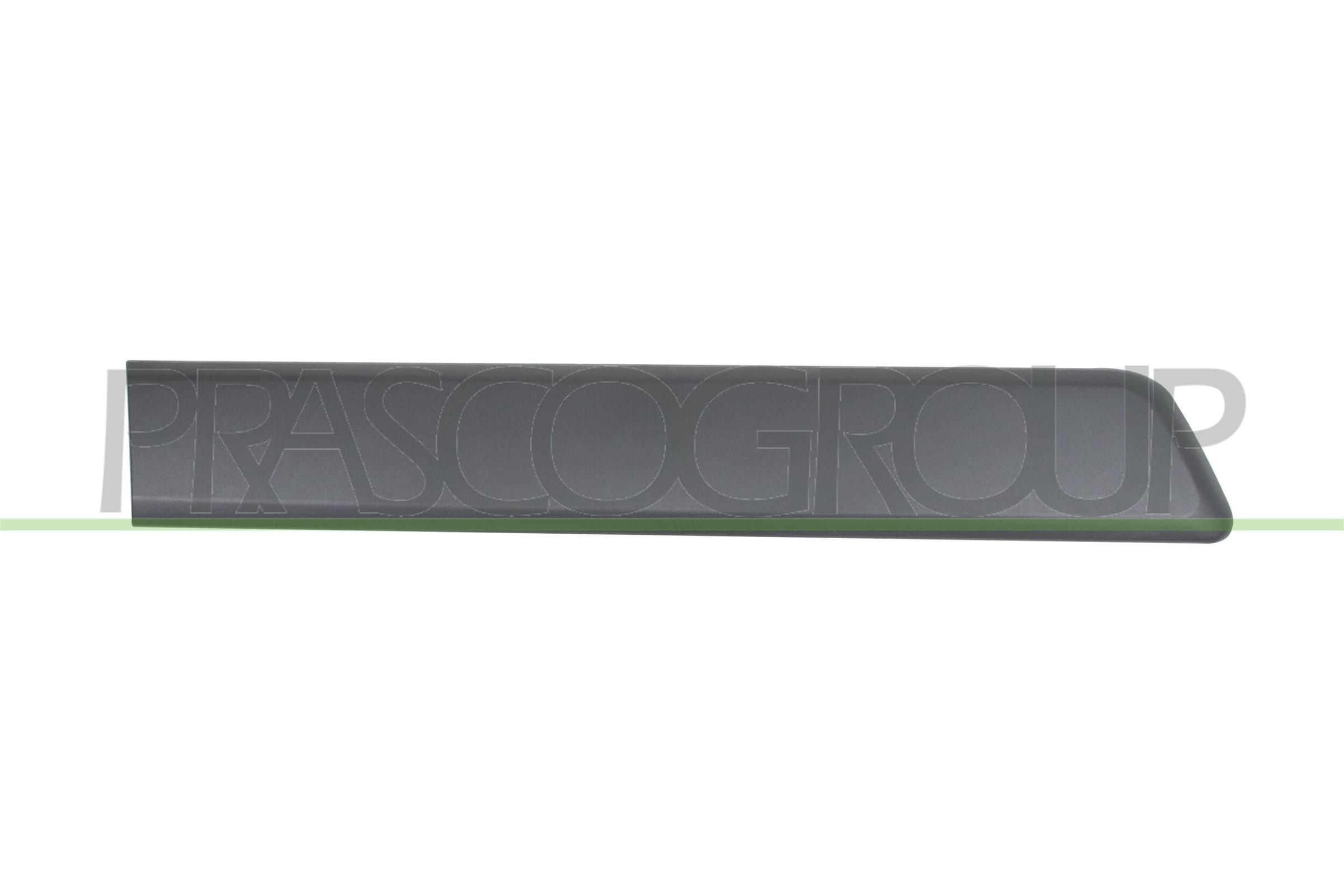 PRASCO Ehis- / kaitseliist, Uks FT9071453 Ukseliistud Fiat 225 FT9071453 PRASCO