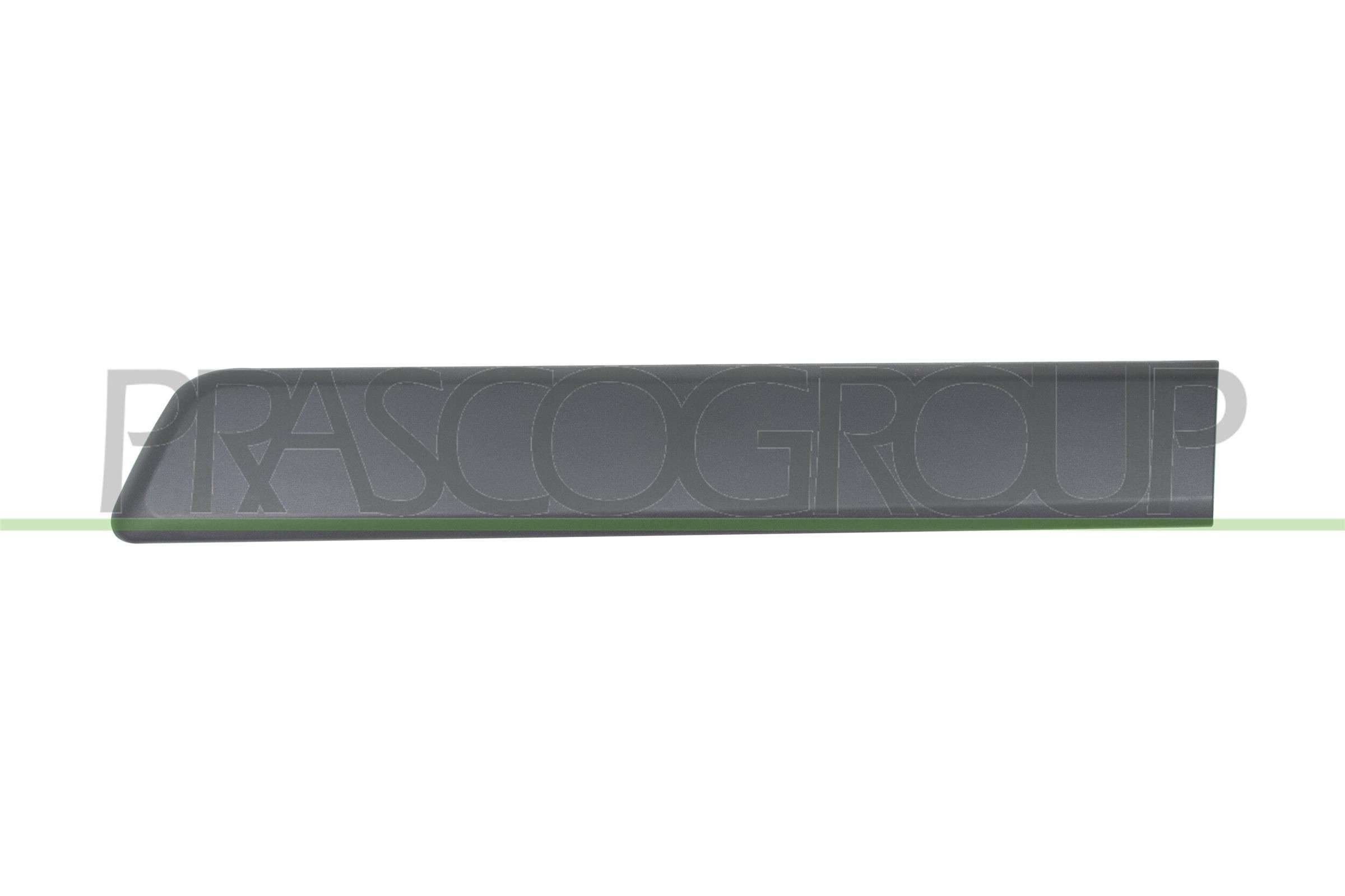 PRASCO Baguette et bande protectrice, porte FT9071454 Citroën ZX Bandes de protection PRASCO FT9071454