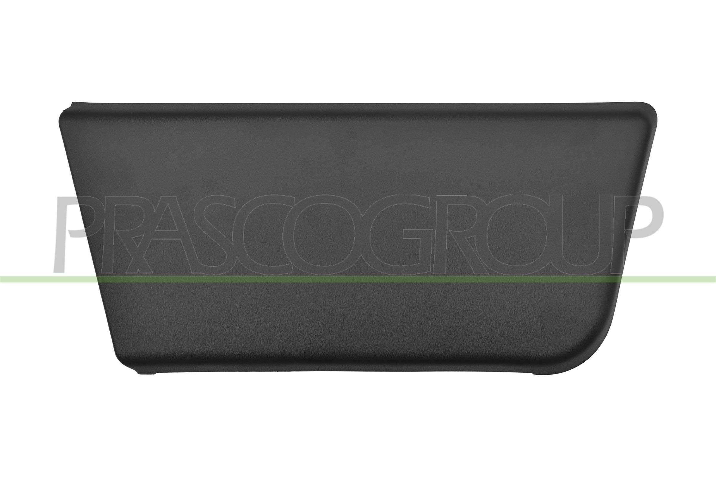 PRASCO Friso, porta FT9301403 FT9301403 Friso lateral porta CITROËN ZX PRASCO