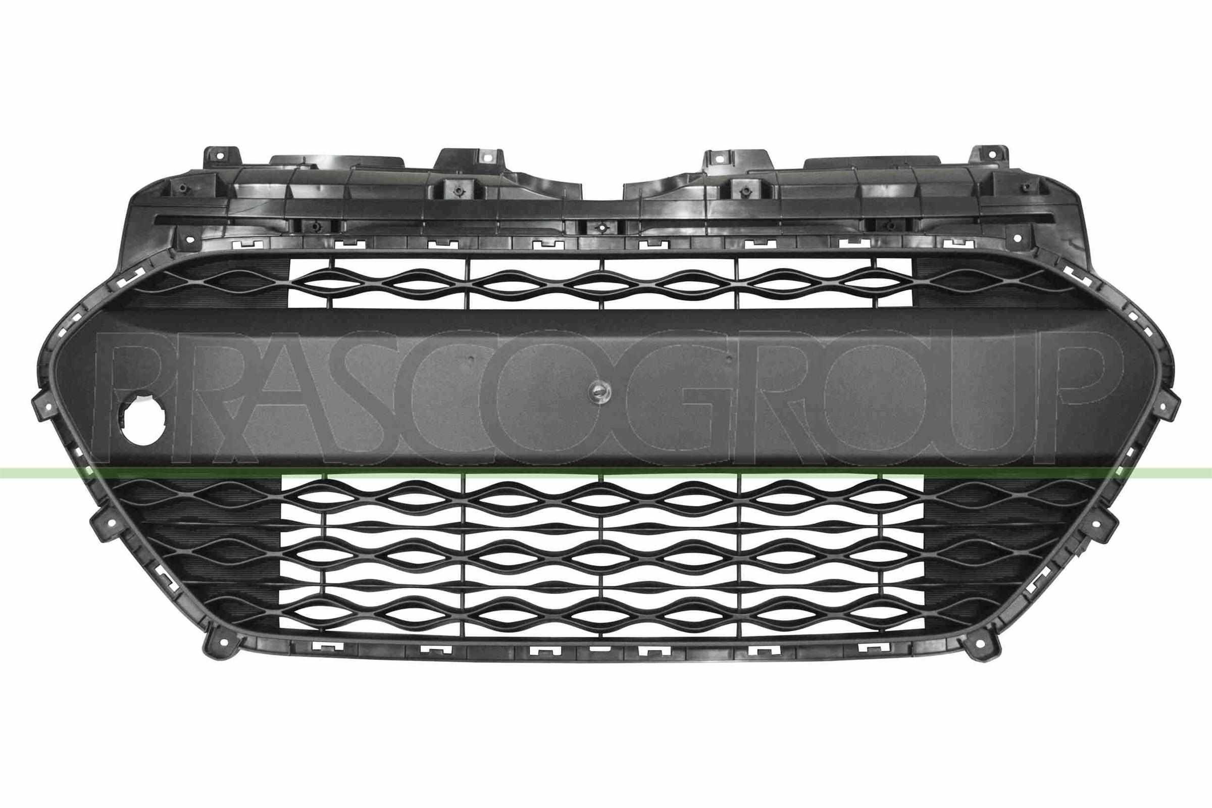 PRASCO Lüftungsgitter, Stoßfänger HN0042120 PRASCO HN0042120 Lüftungsgitter, Stoßfänger HYUNDAI Santa Fe I (SM) 2.0 CRDi Allrad 145 PS 2006