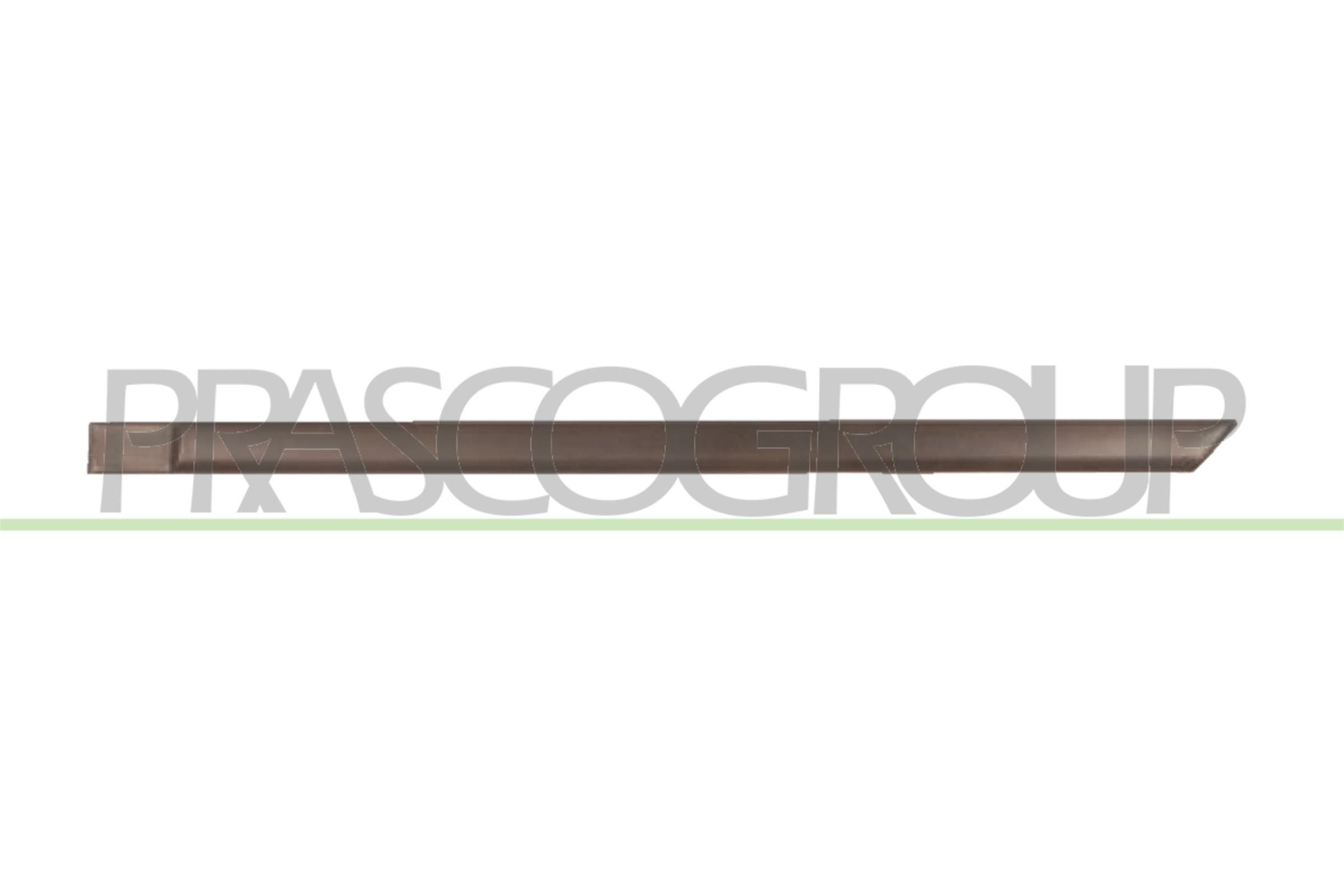 PRASCO Baguette et bande protectrice, porte OP0131454 OP0131454 PRASCO Moulure de porte Opel pas cher