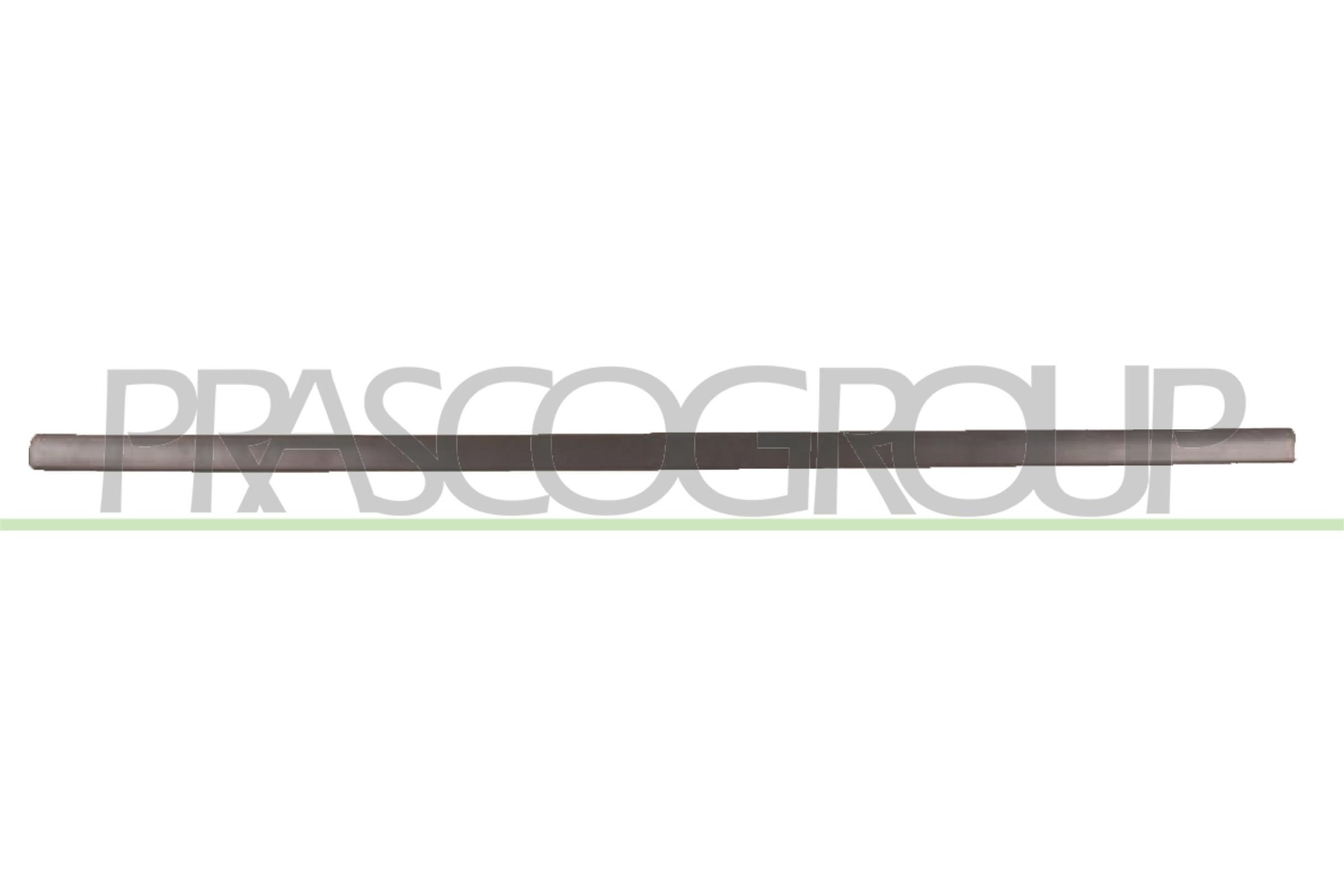PRASCO Ehis- / kaitseliist, Uks VG0341403 Tagaukse liist ja esiukse liist PRASCO CALIFORNIA VG0341403 odav