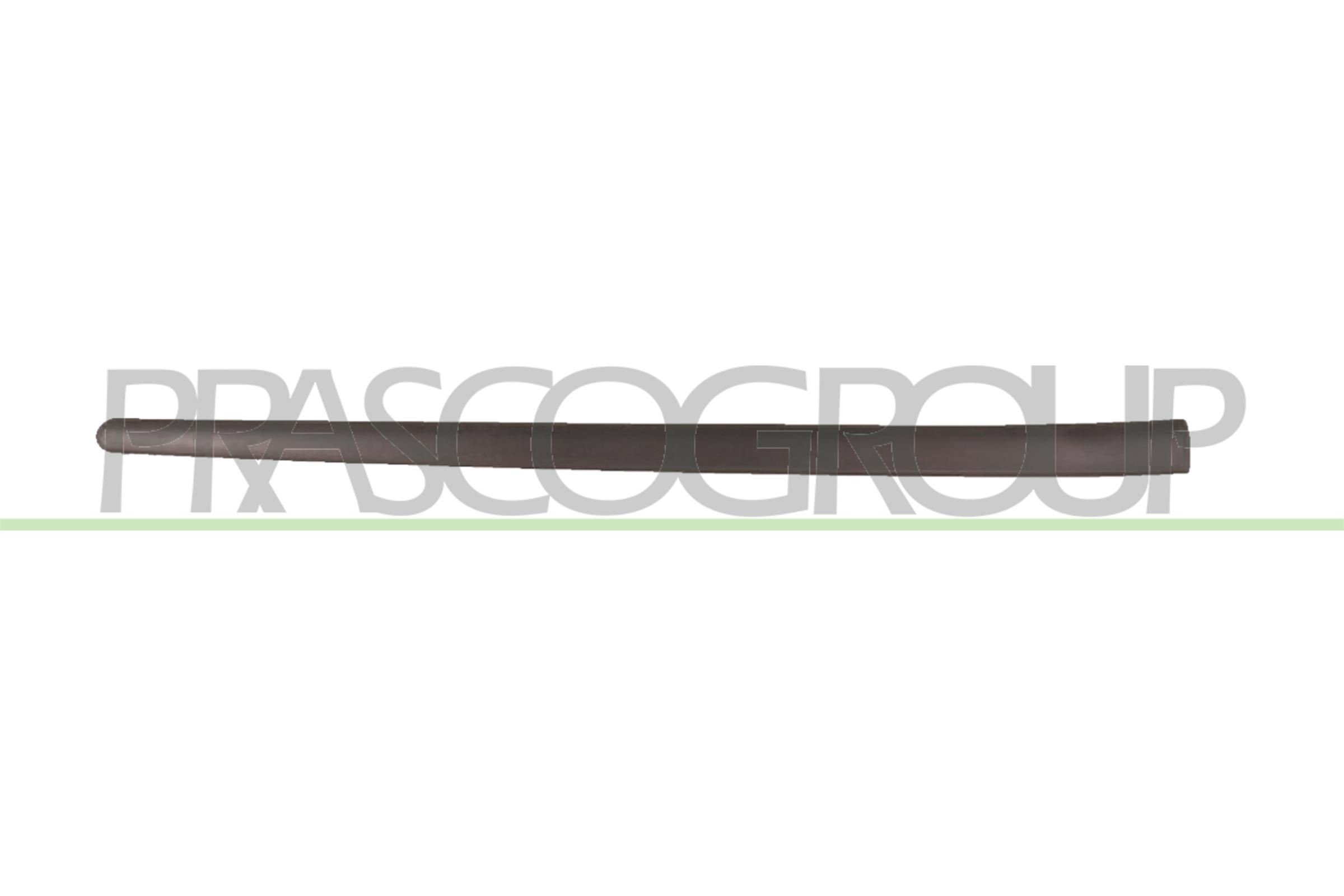 PRASCO Ehis- / kaitseliist, Uks VG0361403 Ukseliistud PRASCO Volkswagen CALIFORNIA VG0361403