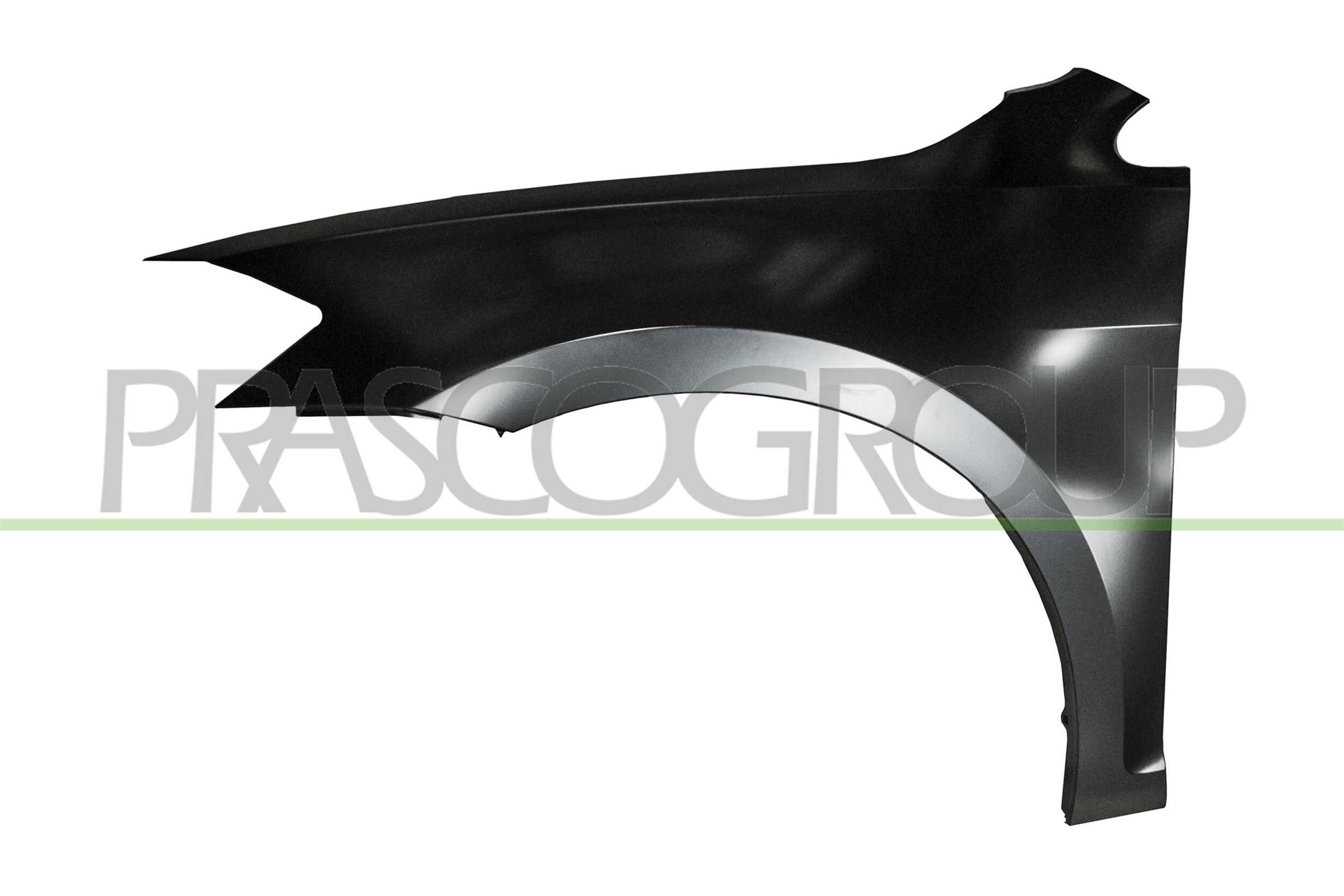 PRASCO Parafango VG4043004 PRASCO VG4043004 Parafango