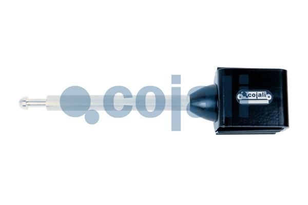 COJALI Corps de suspension, suspension pneumatique 6002218 COJALI 6002218 Corps de suspension, suspension pneumatique