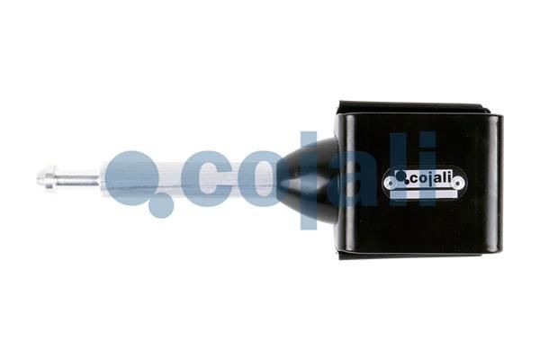 COJALI Fjæringslegeme, gassfjær 6002219 COJALI 6002219 Fjæringslegeme, gassfjær