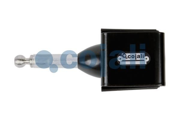 COJALI Corps de suspension, suspension pneumatique 6002229 COJALI 6002229 Corps de suspension, suspension pneumatique