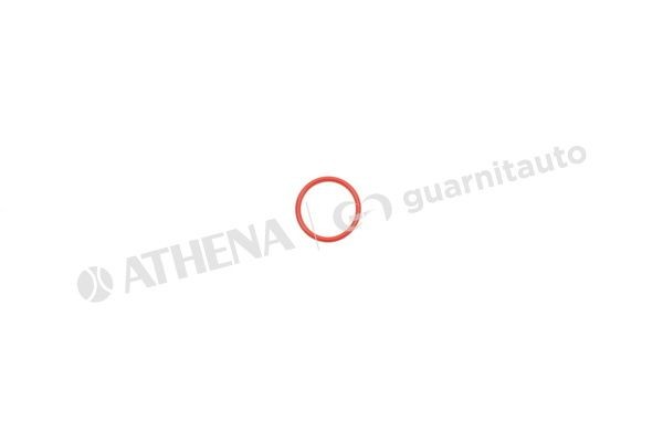 GUARNITAUTO Blīve, Ieplūdes kolektors 183673-8200 183673-8200 GUARNITAUTO Ieplūdes kolektora blīve Ford lēti