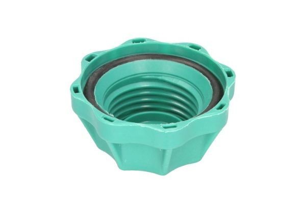 THERMOTEC Paisupaak, roolivõimendi -hüdraulikaõli DBW017TT Võrdsustusanum hüdraulikaõli THERMOTEC Audi TT DBW017TT