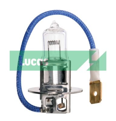 LUCAS Glühlampe, Fernscheinwerfer LLB472LLP Nebelscheinwerfer Birne LUCAS Hyundai MATRIX Single Clam LLB472LLP
