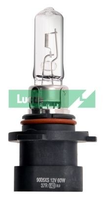 LUCAS Gloeilamp, kentekenplaatverlichting LLB989P Mercedes-Benz C-Klasse Gloeilamp kentekenplaatverlichting LUCAS LLB989P