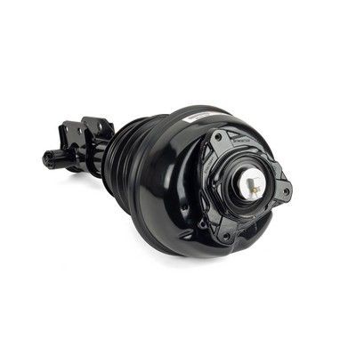 Arnott Ammortizzatore pneumatico AS-3238 Arnott AS-3238 Sospensioni ad aria Mercedes W638 Bus prezzo