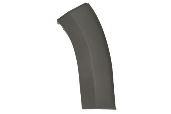 BLIC Friso de para-choques 5703-05-2098921P BLIC 5703-05-2098921P Friso de pára-choques CITROËN Jumper I Van (244) a um preço acessível