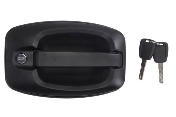 BLIC Maniglia porta 6010-07-038401PP BLIC 6010-07-038401PP Maniglia sportello Fiat Ducato Mk3 prezzo