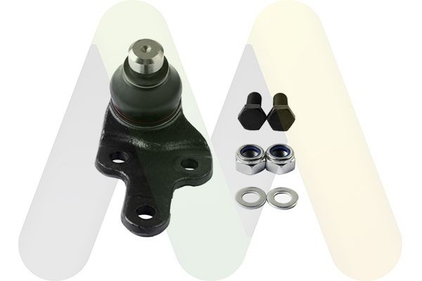 MOTAQUIP Testina braccio oscillante LVSJ1230 LVSJ1230 costo Testina braccio oscillante KIA RIO MOTAQUIP